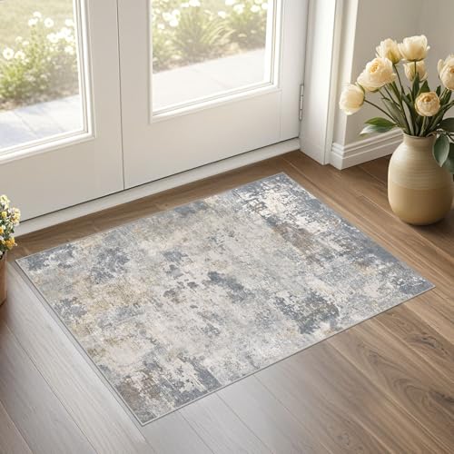 2x3 Entryway Area Rug