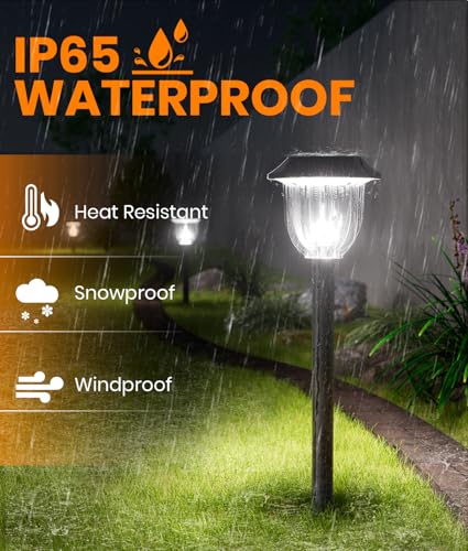 Solar Lights Outdoor (6 Count)