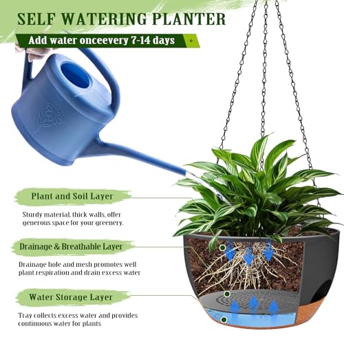 12 Inch Hanging Basket Planter with Chain & Rope for Indoor Outdoor Plants (2 Count)