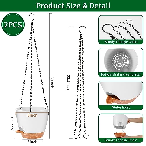 hanging planter (2 Count)