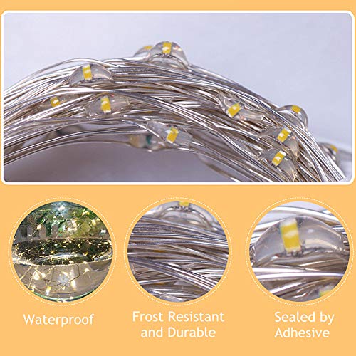 200 LED Halloween Fairy Lights (66 Foot)
