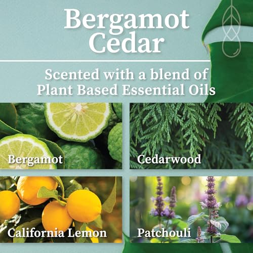 Bergamot Cedar Amber & Gold Wood Wick Candle (7.2 Ounce)