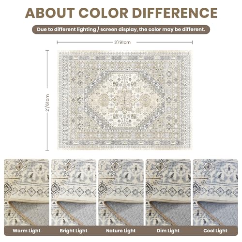 2x3 Rug Non Slip