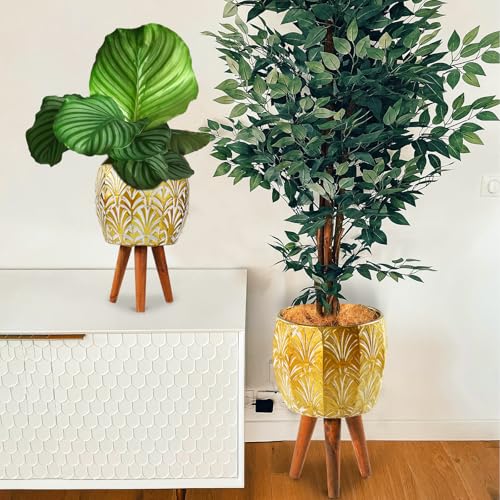 Plant Pots with Stand (2 Count)