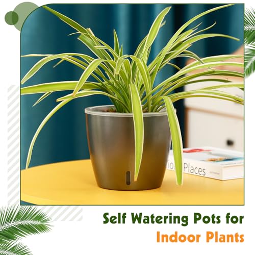 Self Watering Pots for Indoor Plants (6 Count)