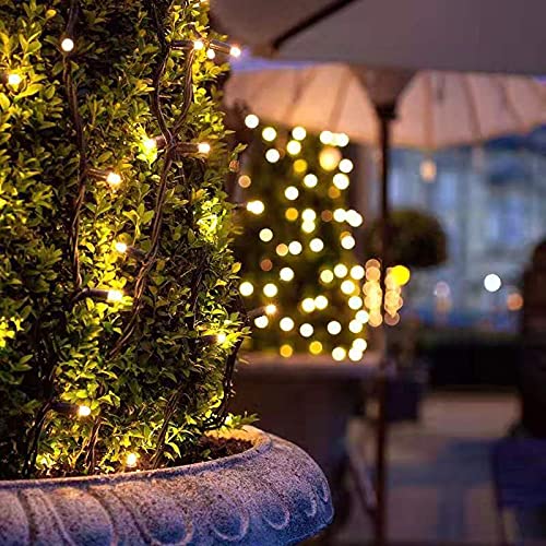 105ft 300 LED Christmas String Lights (105 Foot)