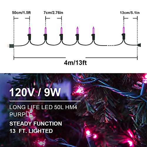 Purple Halloween Mini Lights (100 Count)