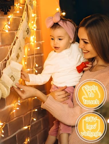 Warm White Christmas String Lights (98 Foot)