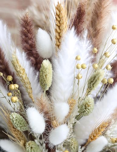 126pcs Dried Pampas Grass Decorations (126 Count)