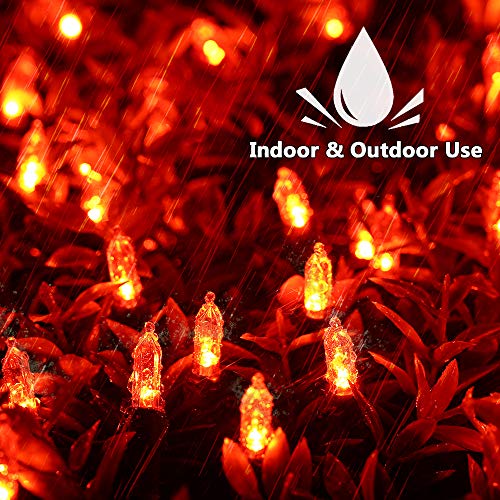 ODEERTONIC Orange Halloween Mini String Lights