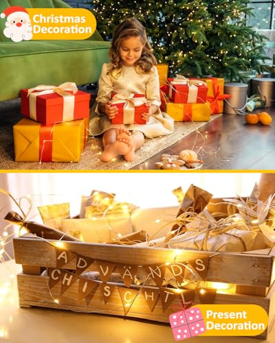 4 Pack 60 LED Fairy Lights Battery Operated with Remote