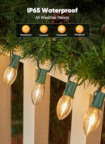 Vintage C9 LED Christmas Lights Outdoor (100 Count)