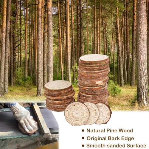 2.4 2.8IN Natural Wood Slices with Jute Twine for DIY Ornaments (30 Count)