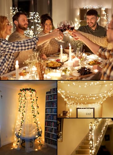 Battery Operated Christmas String Lights with Timer 2 Pack (2 Count)