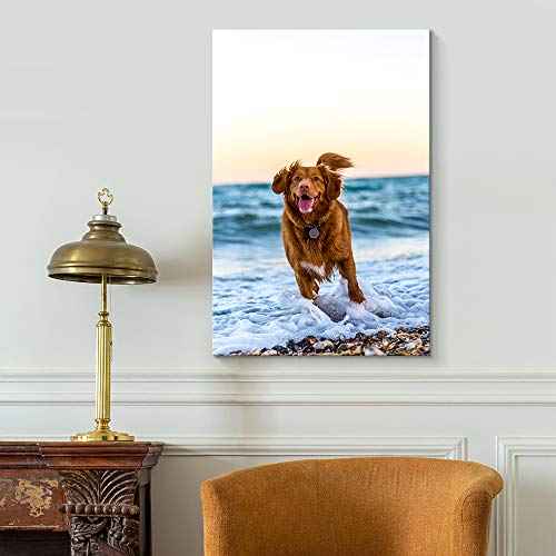 Custom Canvas Prints with Your Photos for Pet