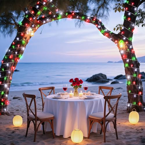 40FT 120 LED String Lights Indoor