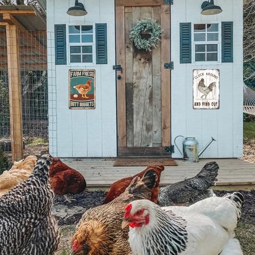 Chicken Coop Metal Signs for Outdoor