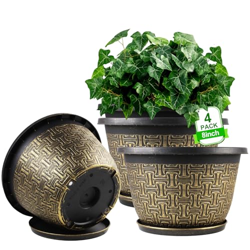 8 Inch Plant Pots (4 Count)