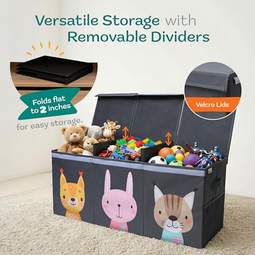 Extra Large Toy Storage Organizer with Lid