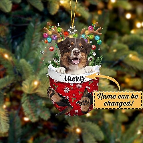 Australian Shepherd 3