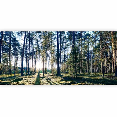 Premium Wall Mural Wallpaper (11 Count)