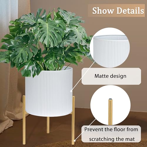 Modern Planter Pots (2 Count)