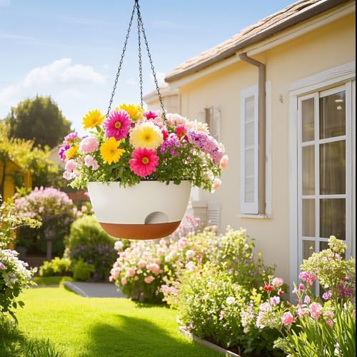 Hanging Planter