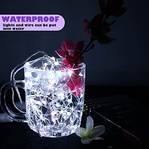 6Pack Fairy Lights Battery Operated (42 Foot)