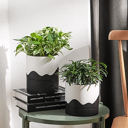 Ceramic Plant Pot