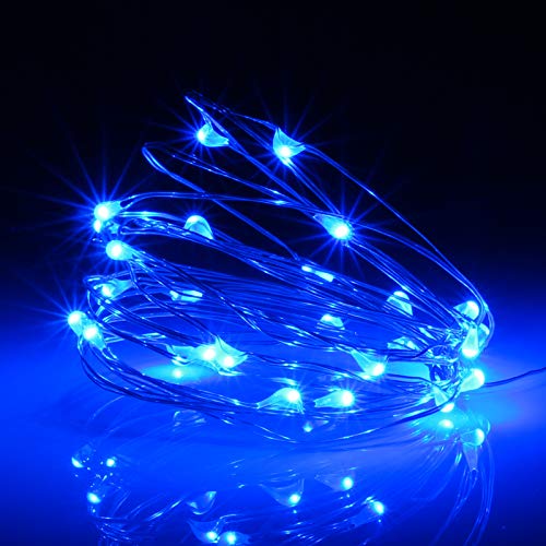 Waterproof LED Fairy String Lights (10 Foot)