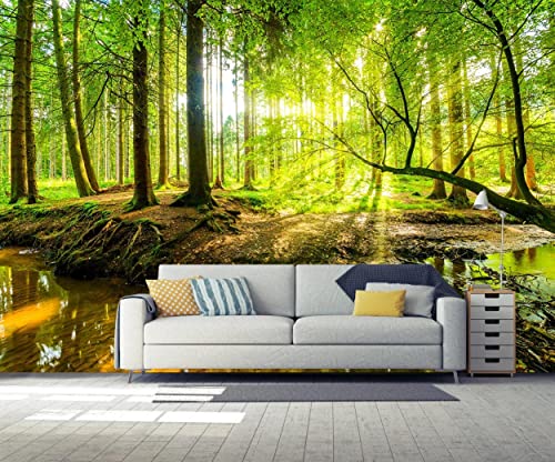 Wall Mural Fall Forest Stream Wallpaper