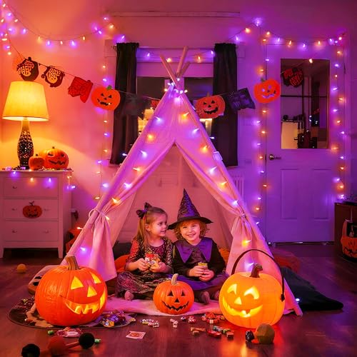600 LED Halloween Lights Outdoor (168 Foot)