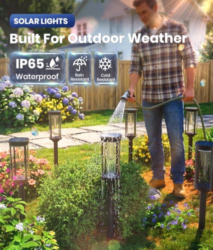 Solar Lights Outdoor Waterproof (12 Count)