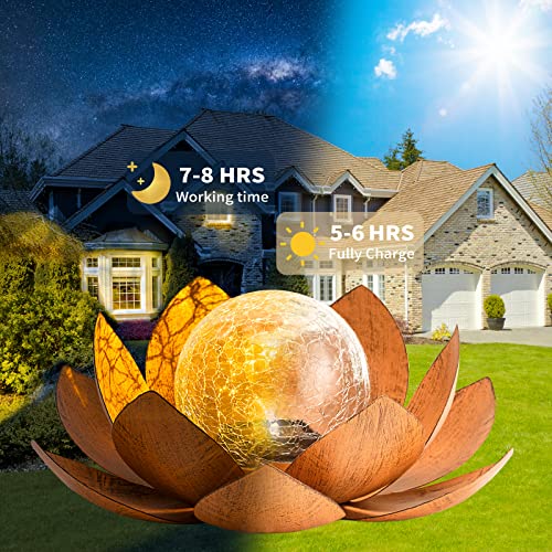 Solar Light Outdoor (2 Count)