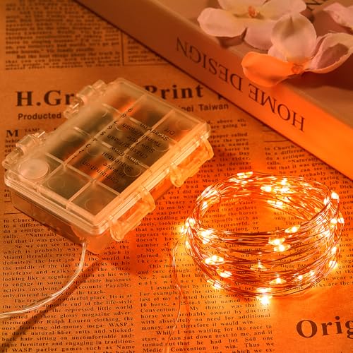 2 Pack 32.8 Ft. Battery Operated Outdoor String Lights with Remote & Timer (2 Count)