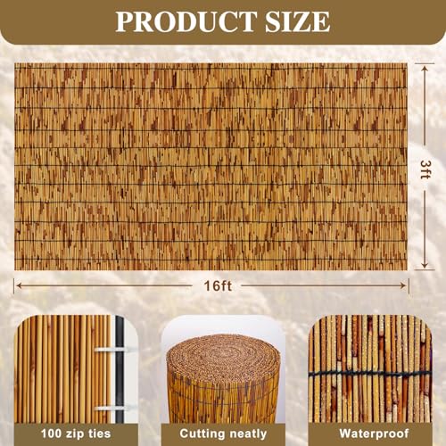 Natural Reed Fencing (48 Sq Ft)