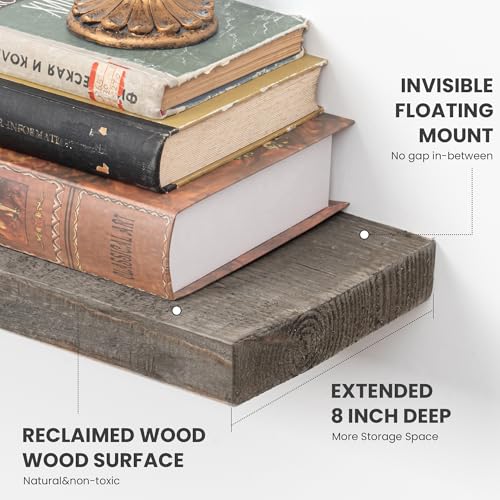 Floating Shelves for Wall (2 Count)