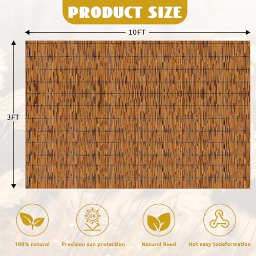 Bamboo Reed Fencing