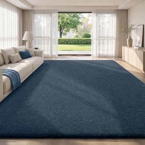 Area Rugs 9x12 for Living Room Bedroom (108 Sq Ft)