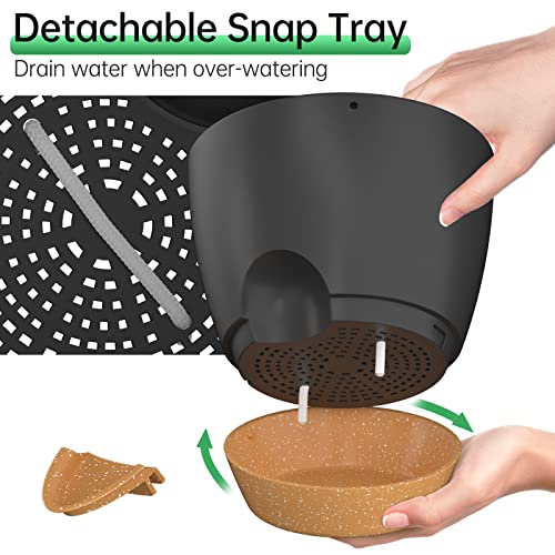 10 Inch Hanging Planters for Indoor Outdoor Plants (2 Count)