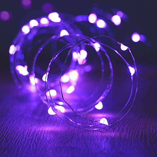 Purple Fairy Lights (10 Foot)