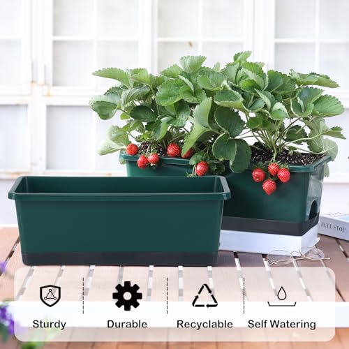 Window Box Planter 8 Pcs (8 Count)
