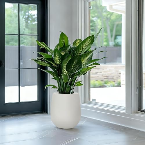 16.9" H Large Tall Plastic Planter w