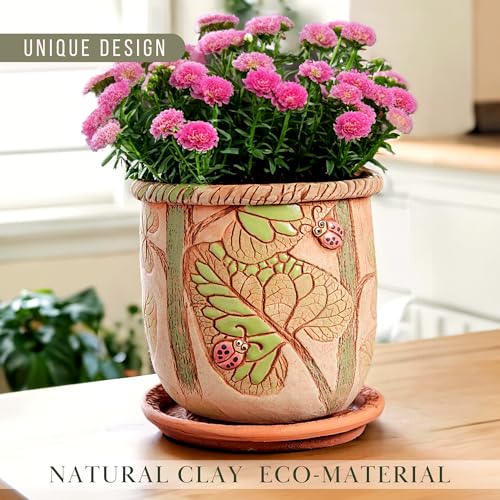 Ceramic Pot with Drainage Hole and Saucer