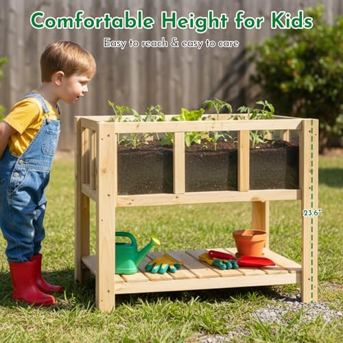 Raised Garden Bed with Transparent Acrylic Side Panels