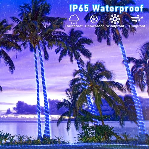 100FT 300 LED Rope Lights for Outside