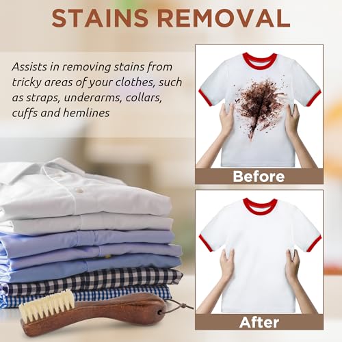 Laundry Stain Brush 2pcs (2 Count)