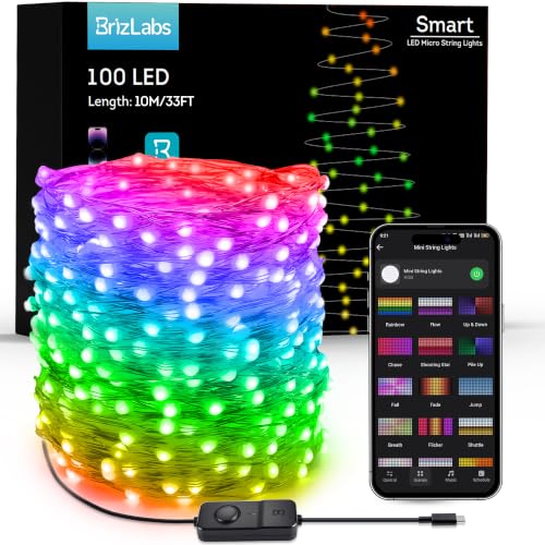 Smart RGB Fairy Lights 100 LED