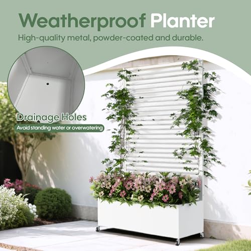 Metal Planter Box with Trellis Privacy Screen
