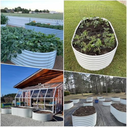 Anleolife 8 Bed 6x3x2ft Oval Galvanized Raised Garden Beds (8 Count)